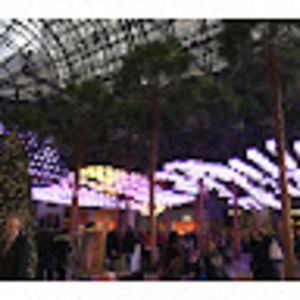 Meet your Posher, Mia